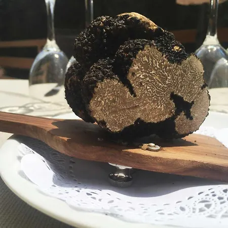 San Carlo 3*