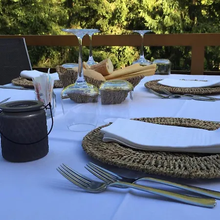 San Carlo 3*